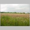 Waterloo - Beesel (13).jpg